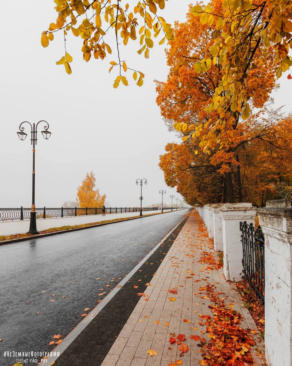 🍁 А у вас какие планы на осень❓