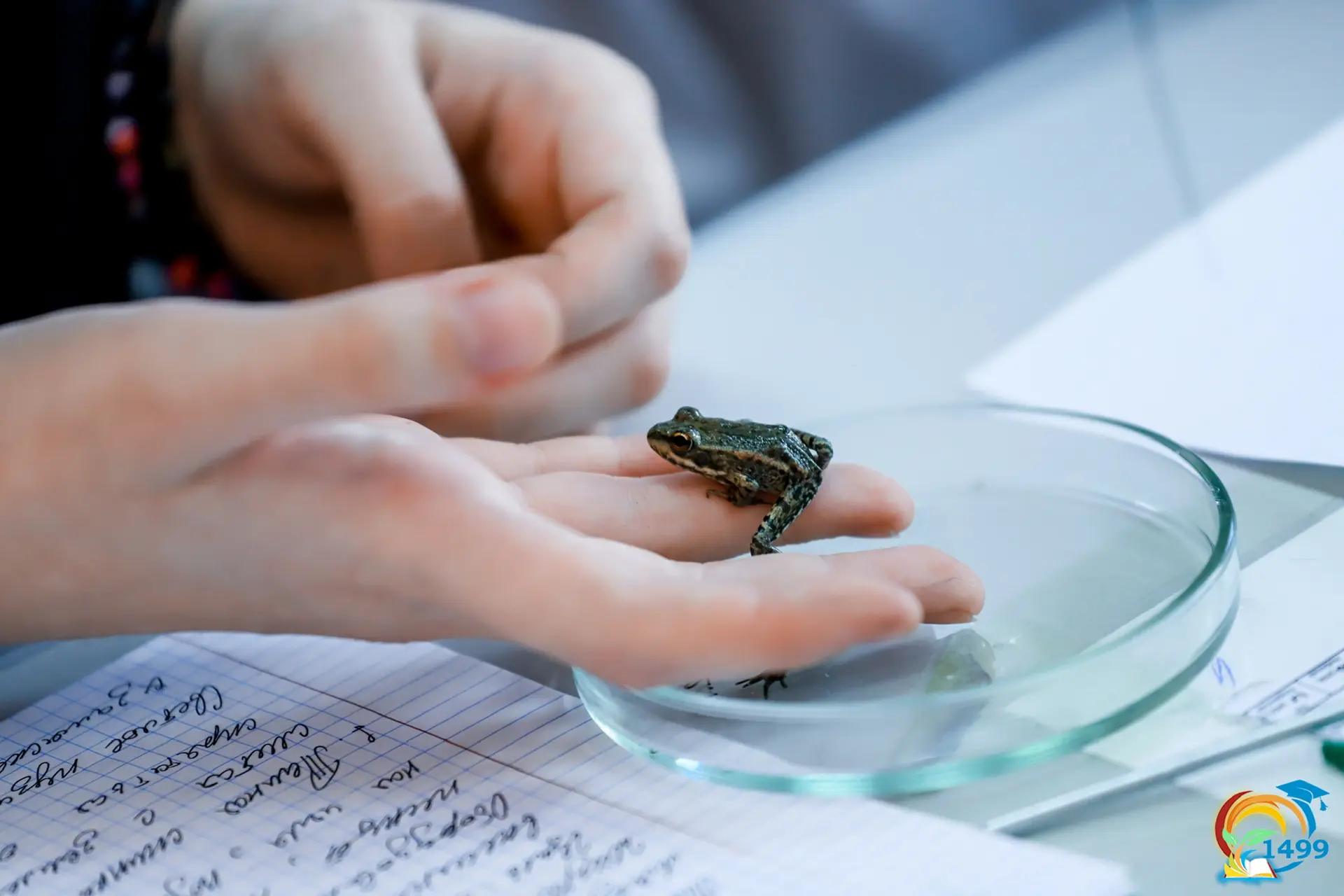 🐸Биология — один из самых нескучных предметов школьного курса!  Изучать её только по учебнику — знач