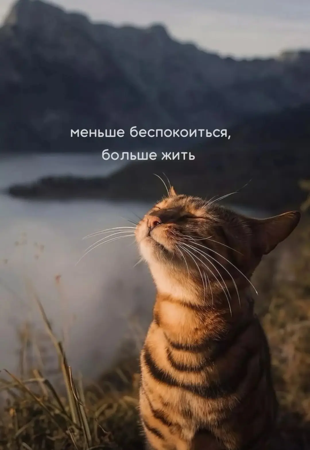 Всем позитивного настроя🤍
