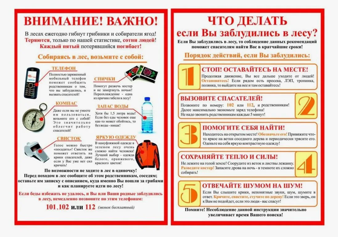 Безопасность в лесу. Памятка для населения
