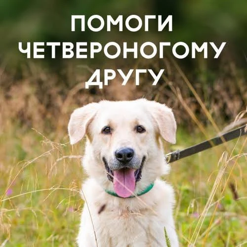 🐾 Добрые дела начинаются с нас!