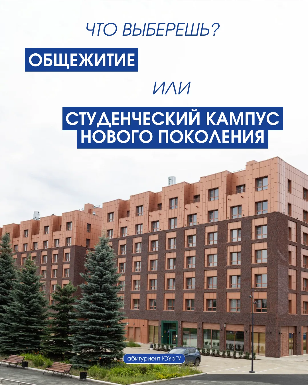 Когда говорят «студенческое общежитие», многие представляют длинный коридор, общую кухню на этаж и м