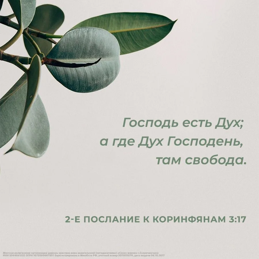 Господь есть Дух; а где Дух Господень, там свобода.
