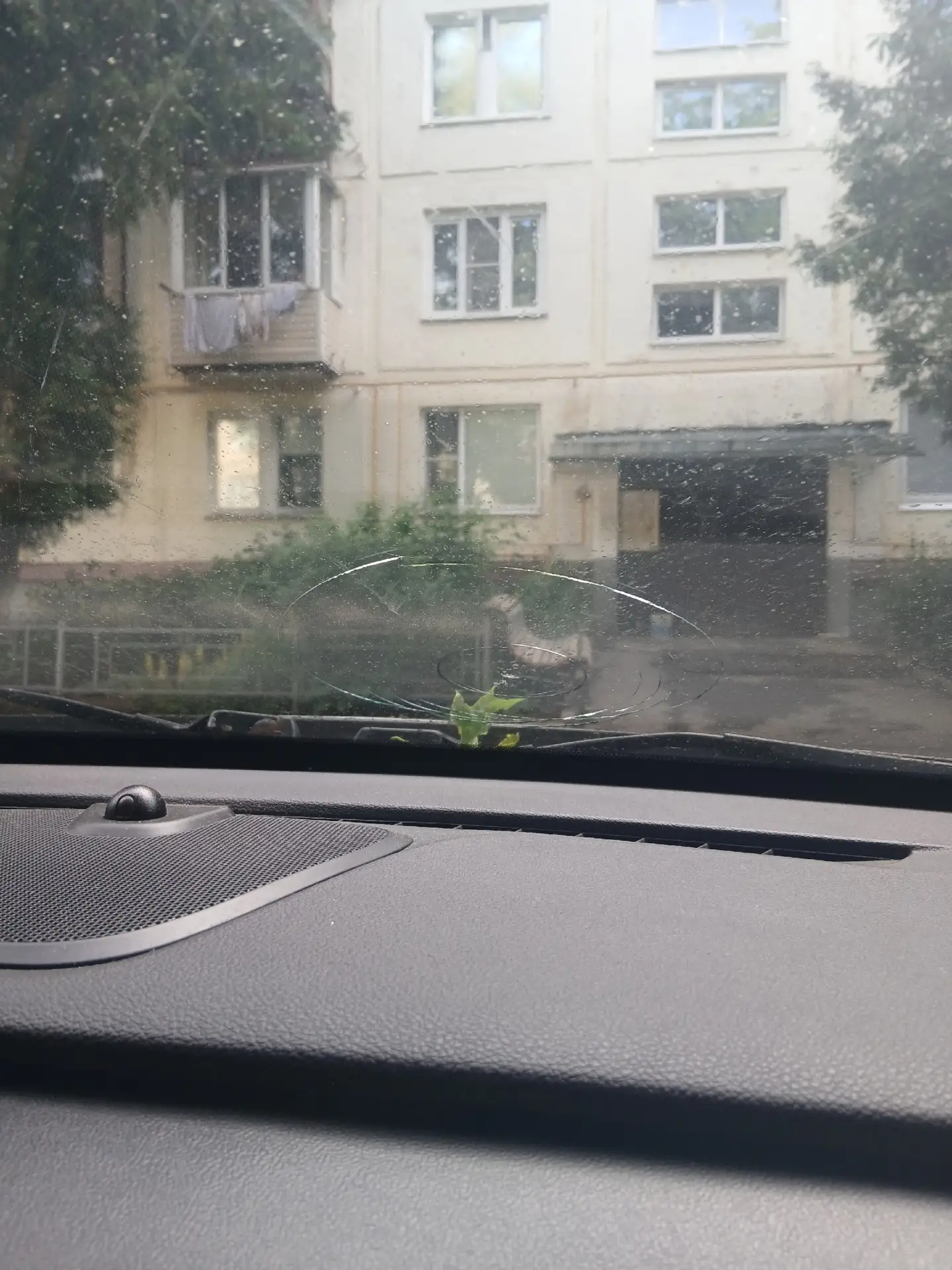 Всем добрый день! Разбили лобовое стекло!!!!! Надеюсь что это не умышленно. Жду до завтра того челов