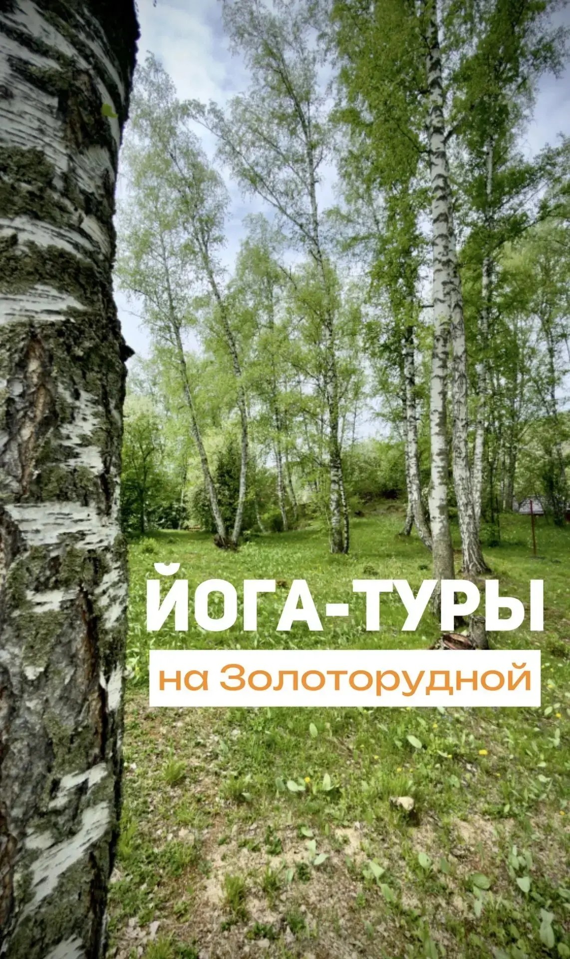 Ищете базу для проведения ретрита или йога-тура в Горном Алтае? У нас есть всё, чтобы участники были