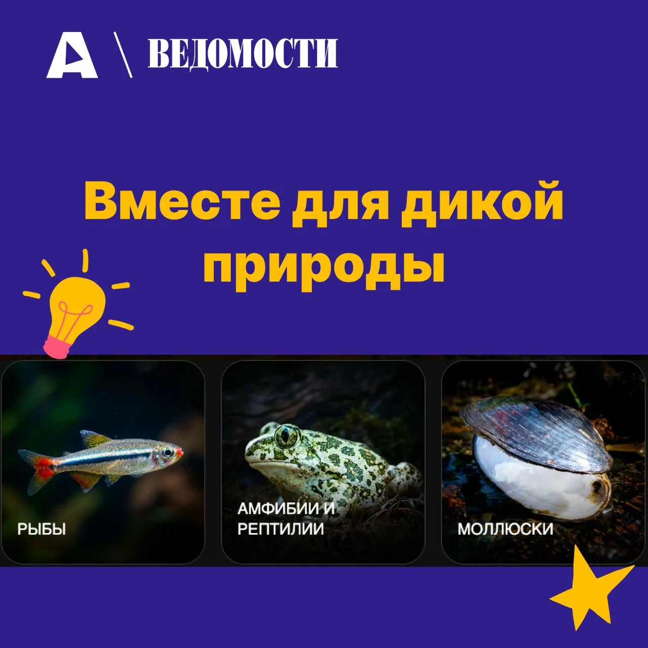 🦦 Амурский тигр, снежный барс, краснокнижный журавль… А кого бы выбрали вы?

«Ведомости» запустили 