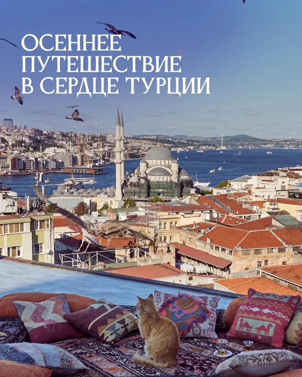 *Разгадайте тайны Стамбула этой осенью 🤫