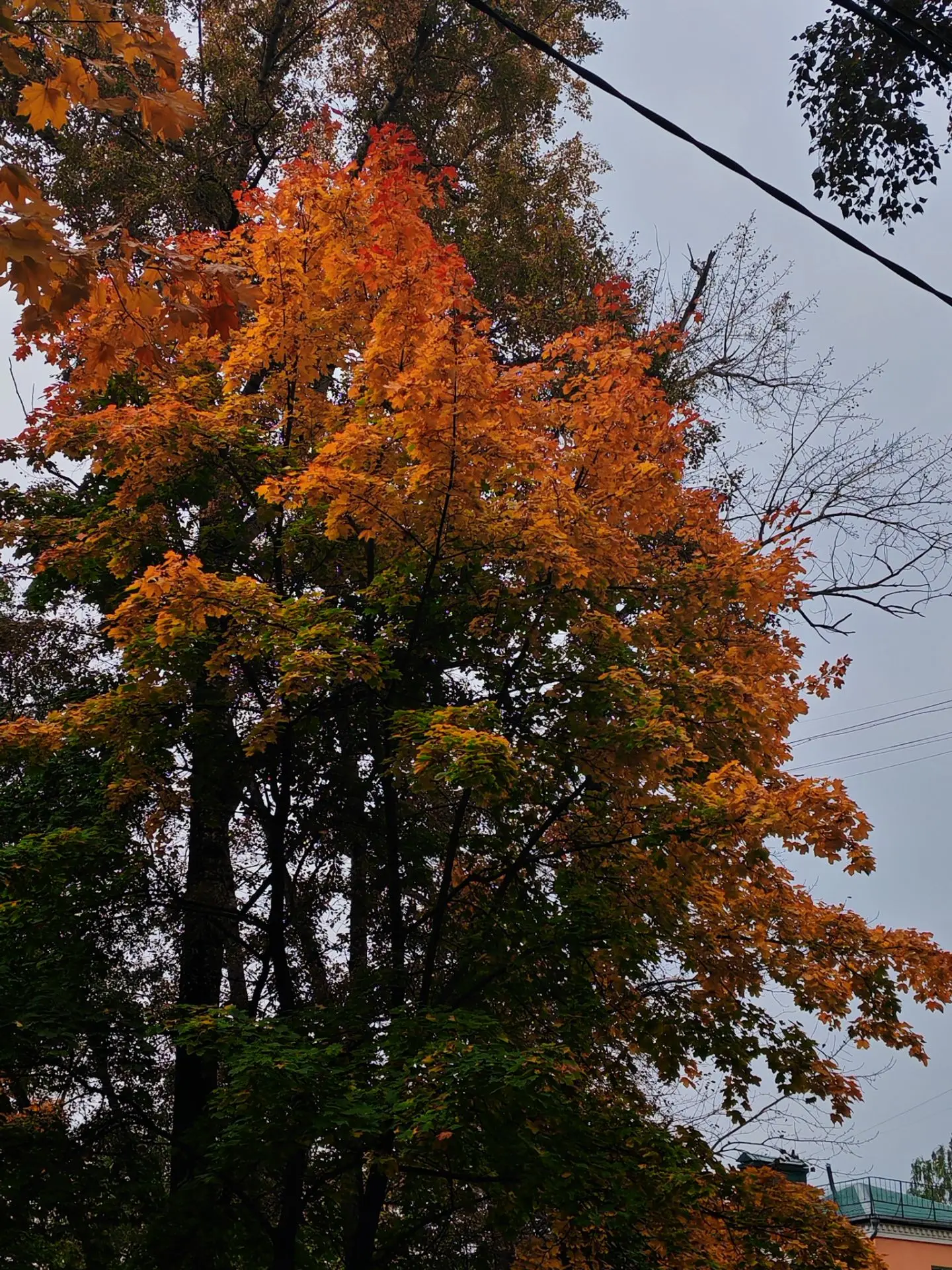 Мои будни 🥹😍 🍁 🍂