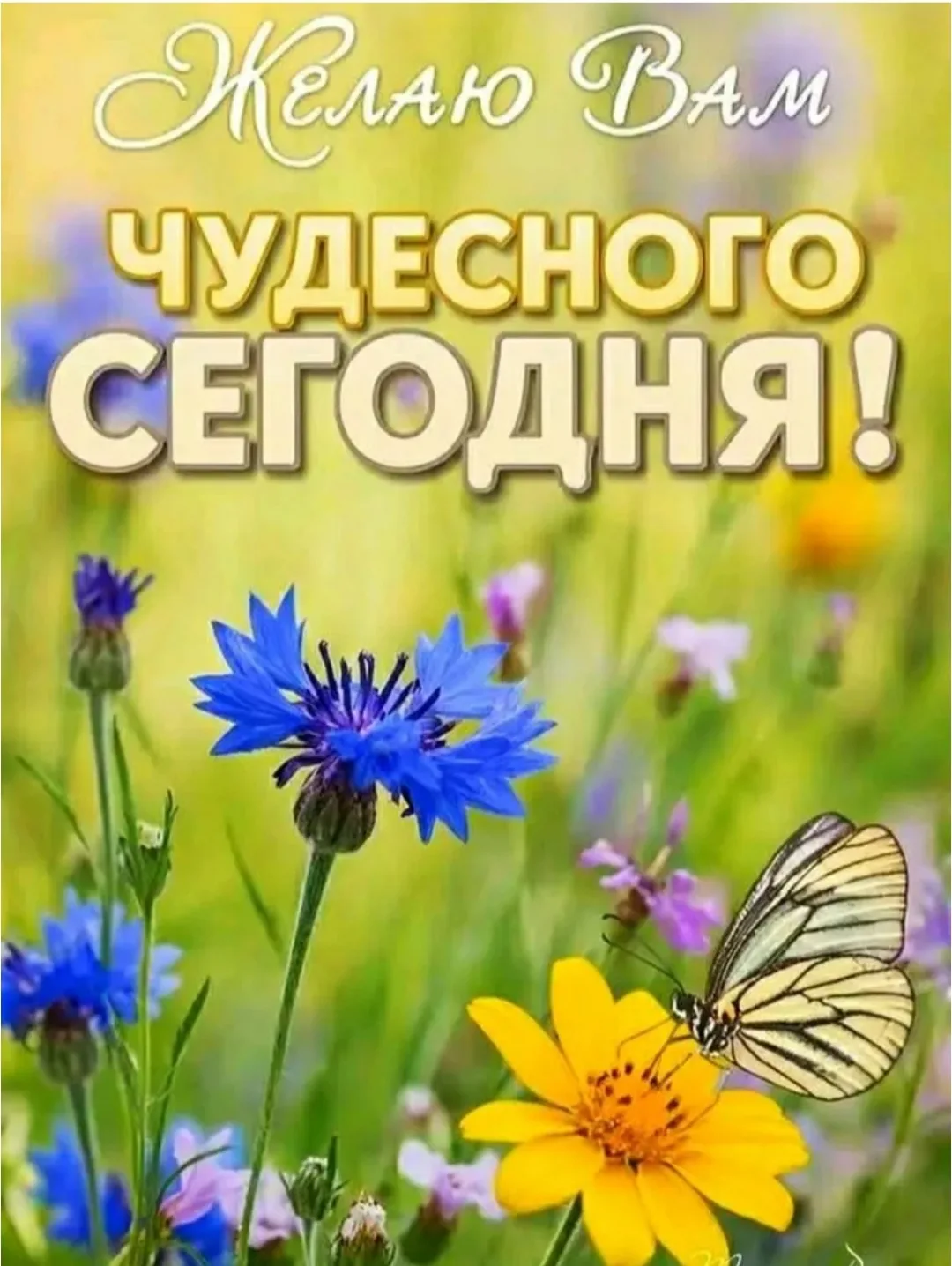 Ура, пятница! Всем отличного завершения дня и замечательных выходных. Пусть отдых будет...