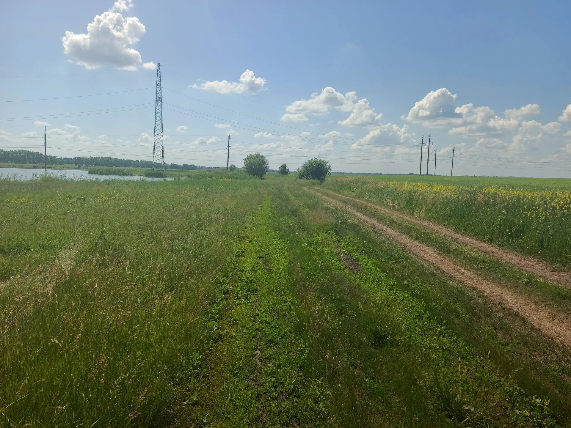 Администрацией Поворинского муниципального района, на постоянной основе, проводятся мероприятия по м