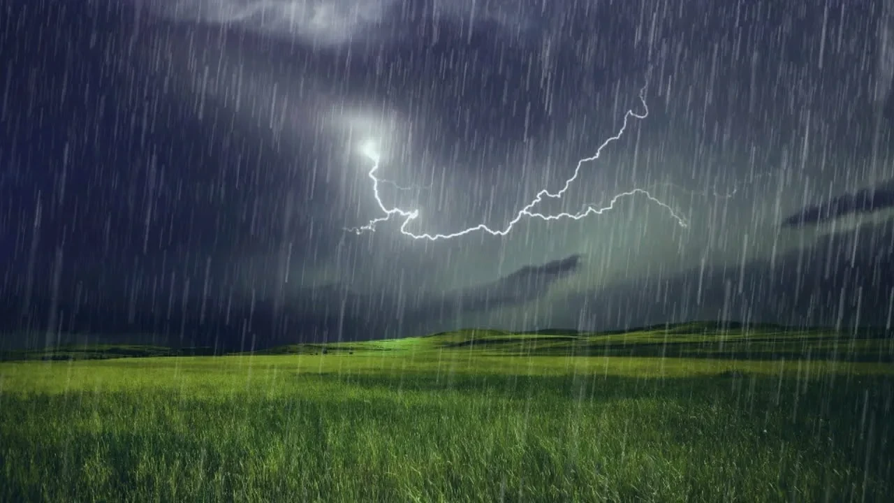 ⛈Завтра в ДНР ожидается кратковременный дождь, гроза.