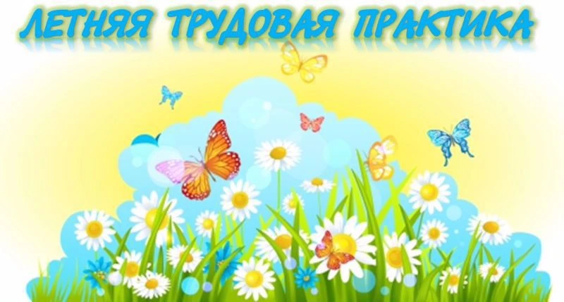🌿 Труд в радость: в школе продолжаются летние отработки на пришкольном участке! 🌞

Слухи о том, чт