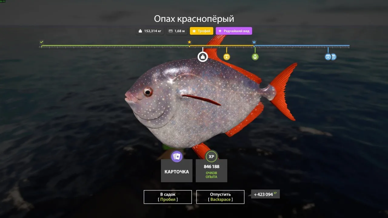 #норвежское@RF4_Vkluchite_klev