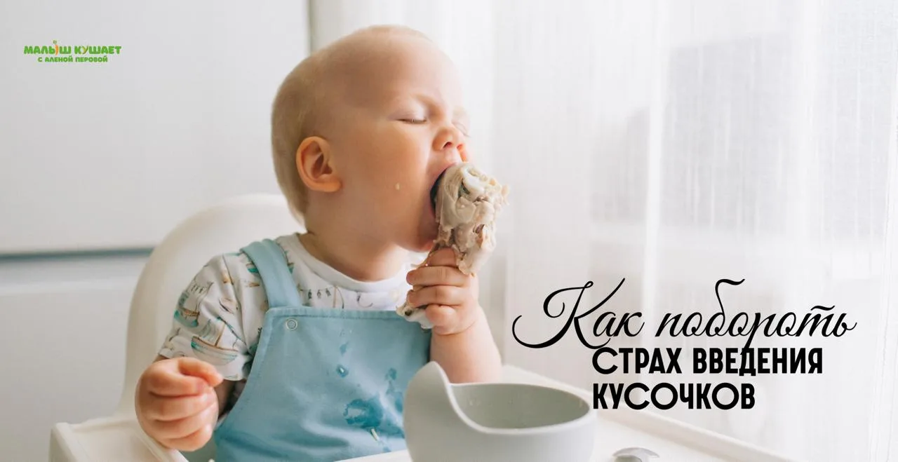Переход на кусочки — это, пожалуй, самая тревожная часть прикорма. Что делать, чтобы справиться со с