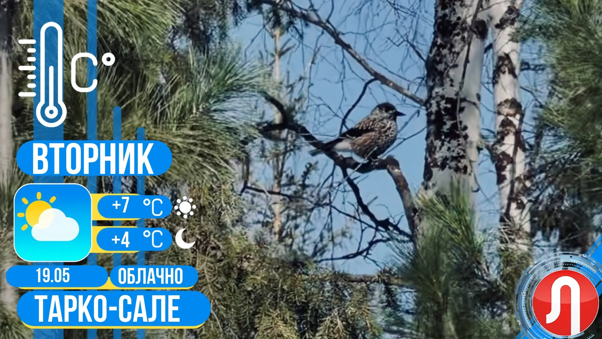 🌤️Прогноз погоды   ✔️Сегодня в Тарко-Сале облачно, без осадков. Температура воздуха днем +7 градусов