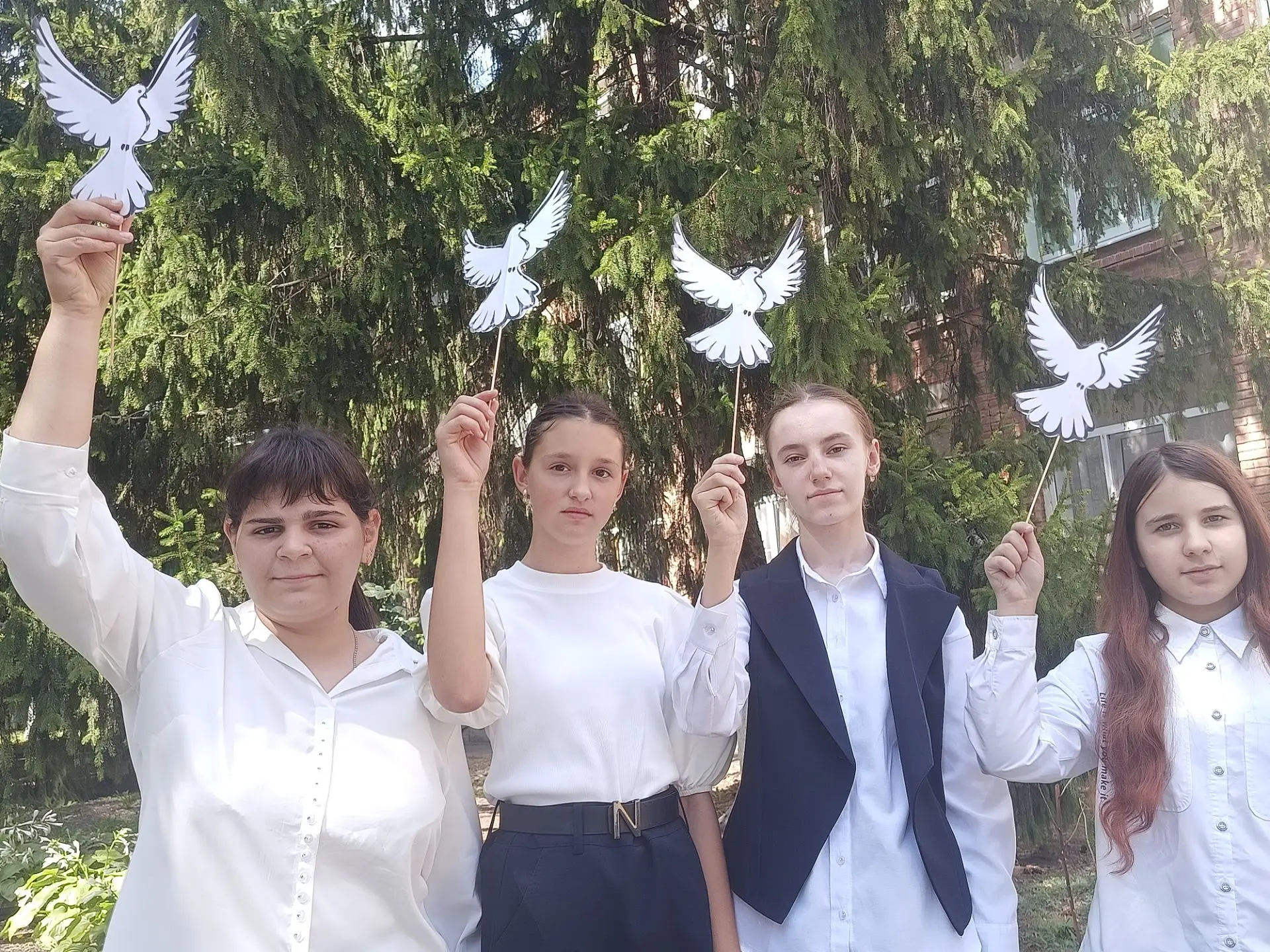 #ГолубьМира