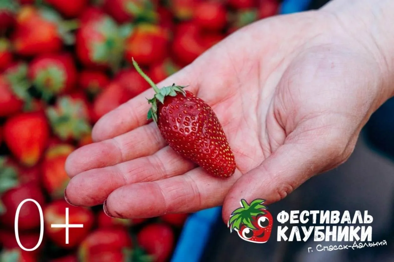 🍓 Клубничный праздник: туристические компании привезут гостей на фестиваль в Спасск-Дальний

20 июн