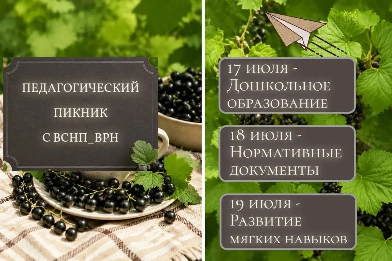 🍀 Воронежских педагогов приглашают на пикник!