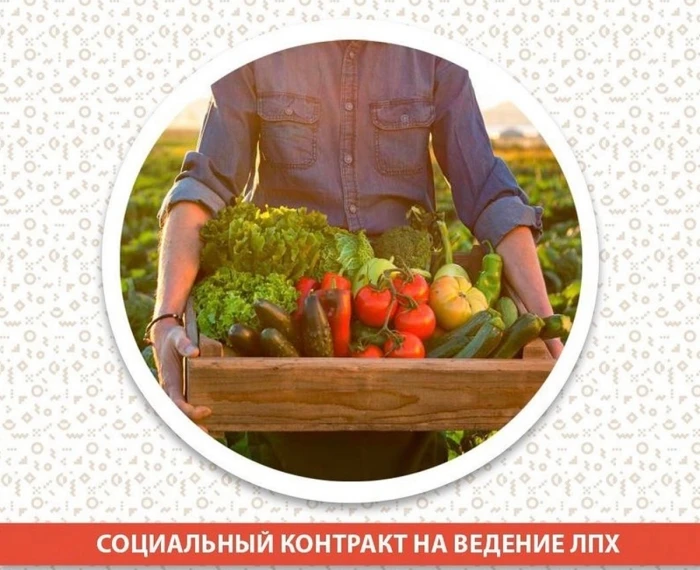 📣 Приглашаем заключить социальный контракт на ведение личного подсобного хозяйства (ра...