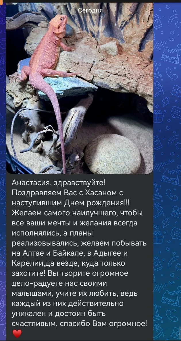 Спасибо большое за поздравления❤️
