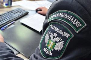 В Кузбассе Россельхознадзором проведено 38 оценок соответствия соискателей лицензии и л...