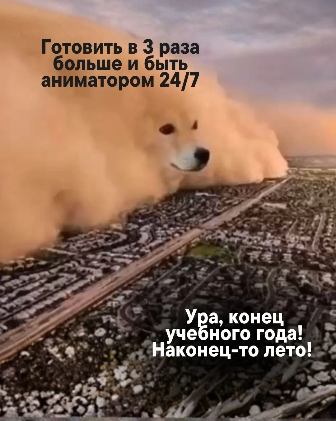 Обратный отсчет в 92 дня начался… 😅