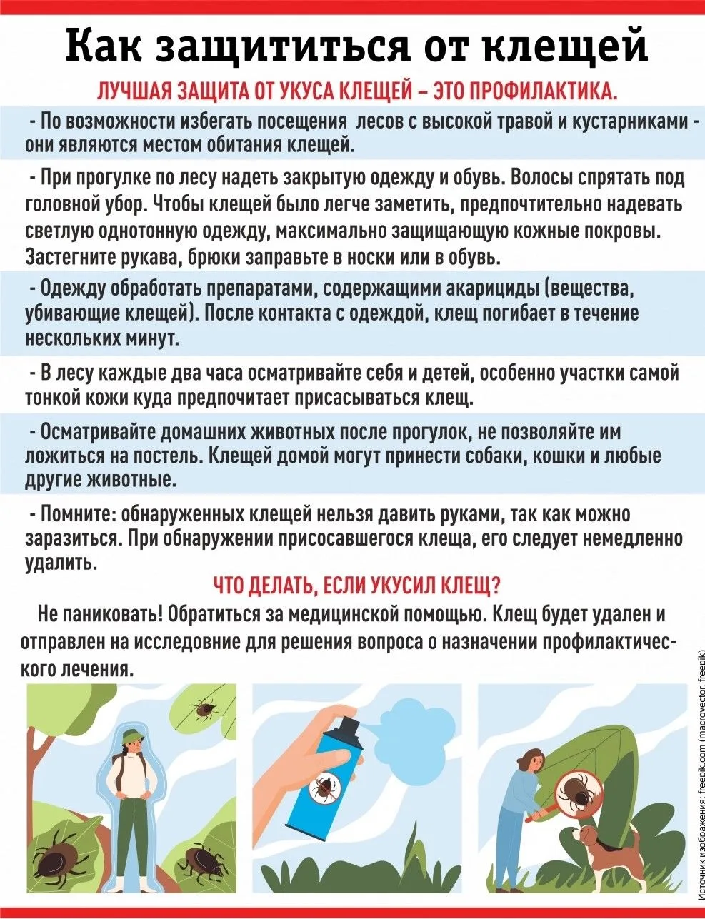 🌳Лес зовёт, но клещ не дремлет!