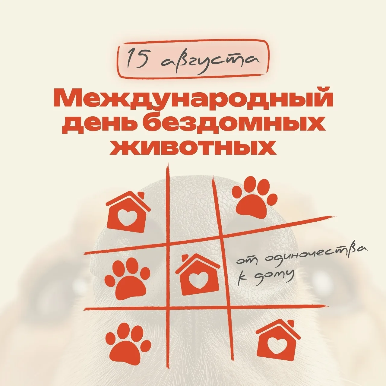 📝Сегодня 15 августа — Международный день бездомных животных.