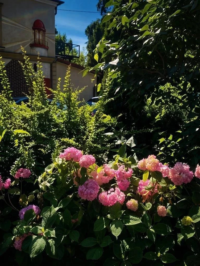 Уютный и зелёный Пионерский 💚