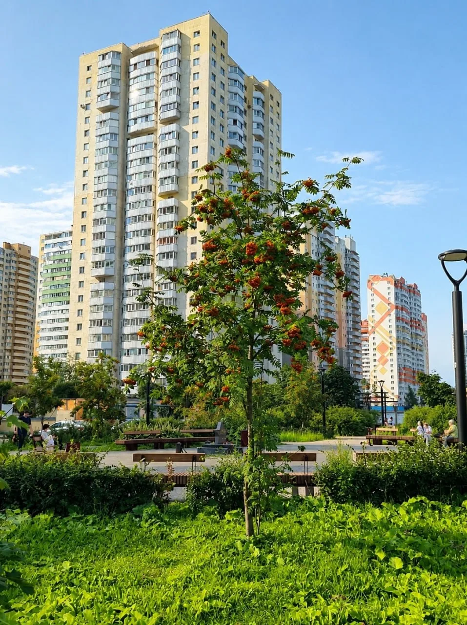 Рябина в Шушарах😍

Новости Пушкинского