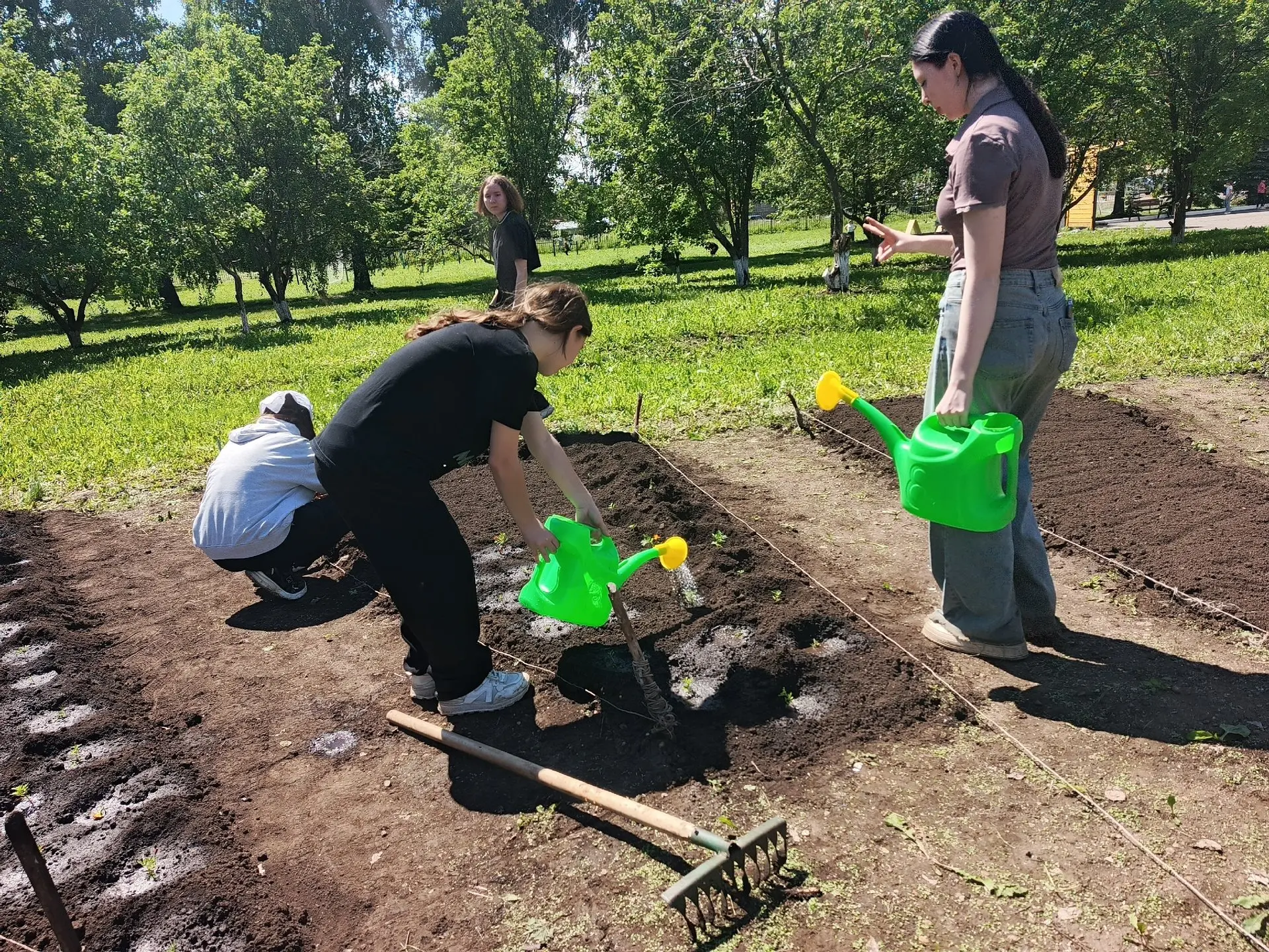 Уже вторую неделю школьники села Старобурново продолжают работу  трудового десанта! 🧑‍🌾

С самого 