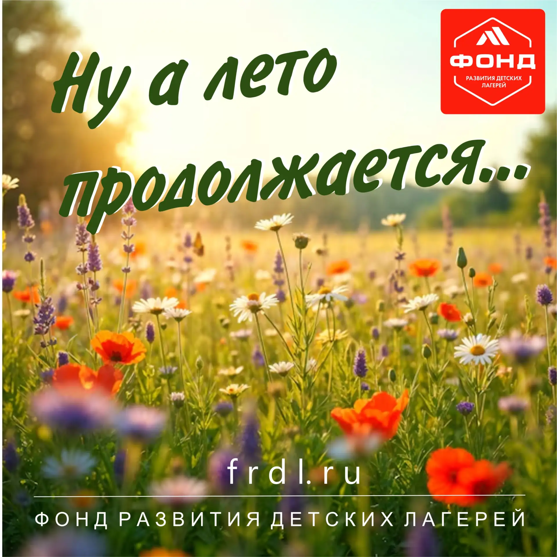 Добрый день, уважаемые коллеги и дорогие друзья!
Вот и июль завершает свое путешествие по летним кан