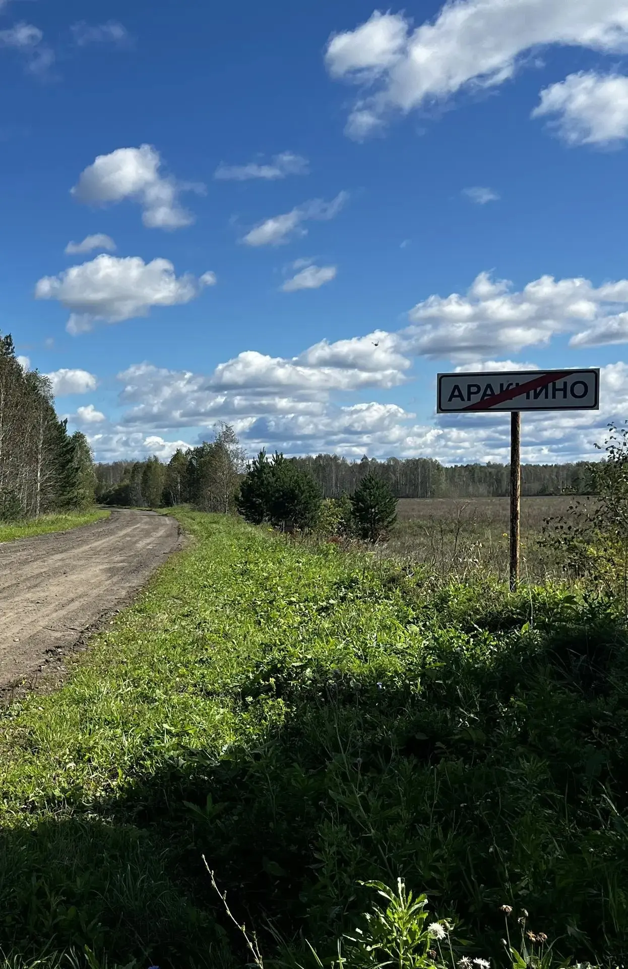 В рамках содержания автомобильных дорог, проводиться грейдирование и покос сорной расти...