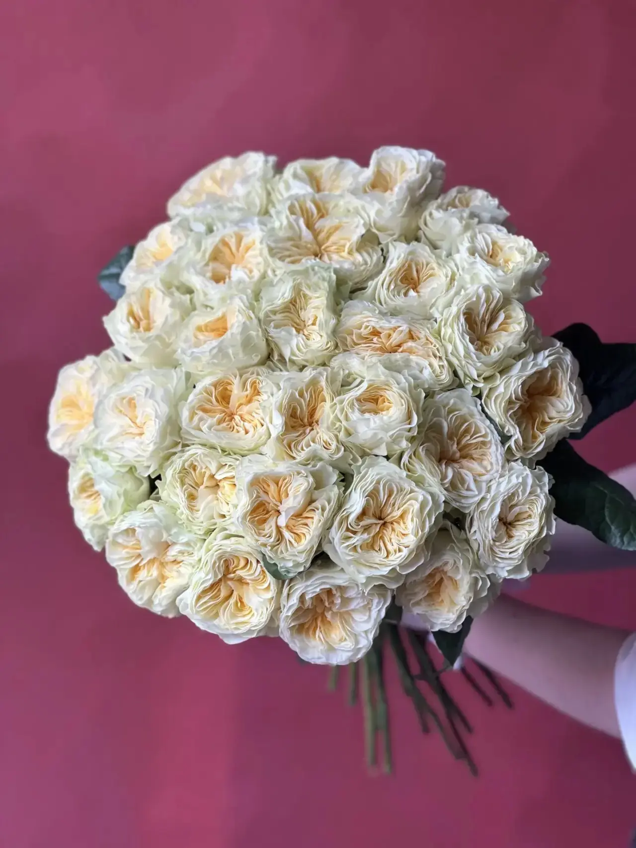 Розы цвета сливочного масла Вединг Чепел у нас в холодильнике 😍