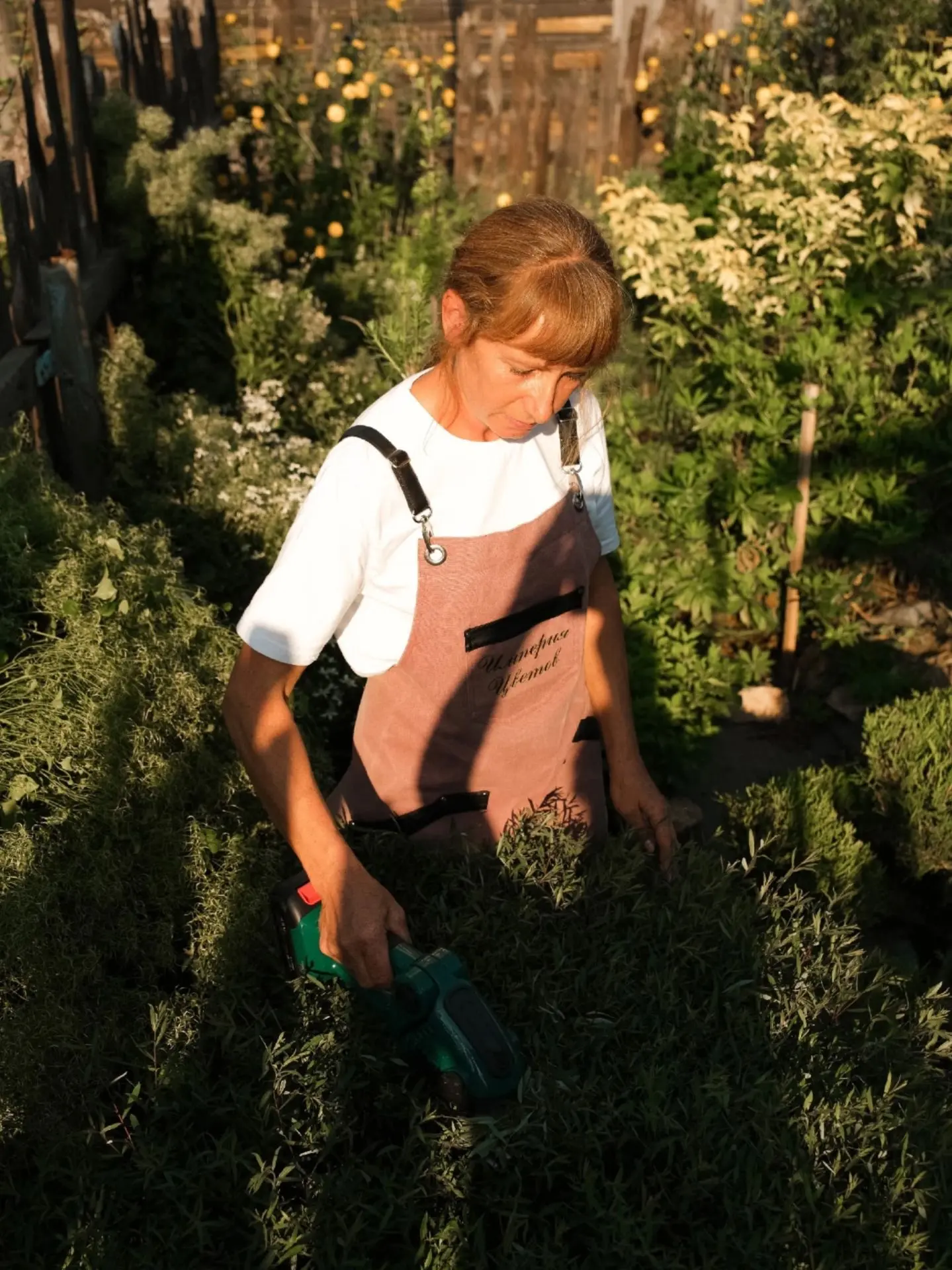 Лето заканчивается, а это значит, что в саду стрижку кустарников пора заканчивать.