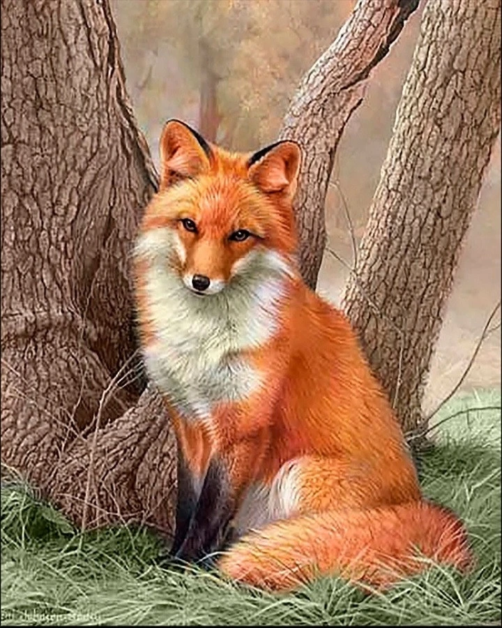 https://vk.com/photo-184814919_493495446