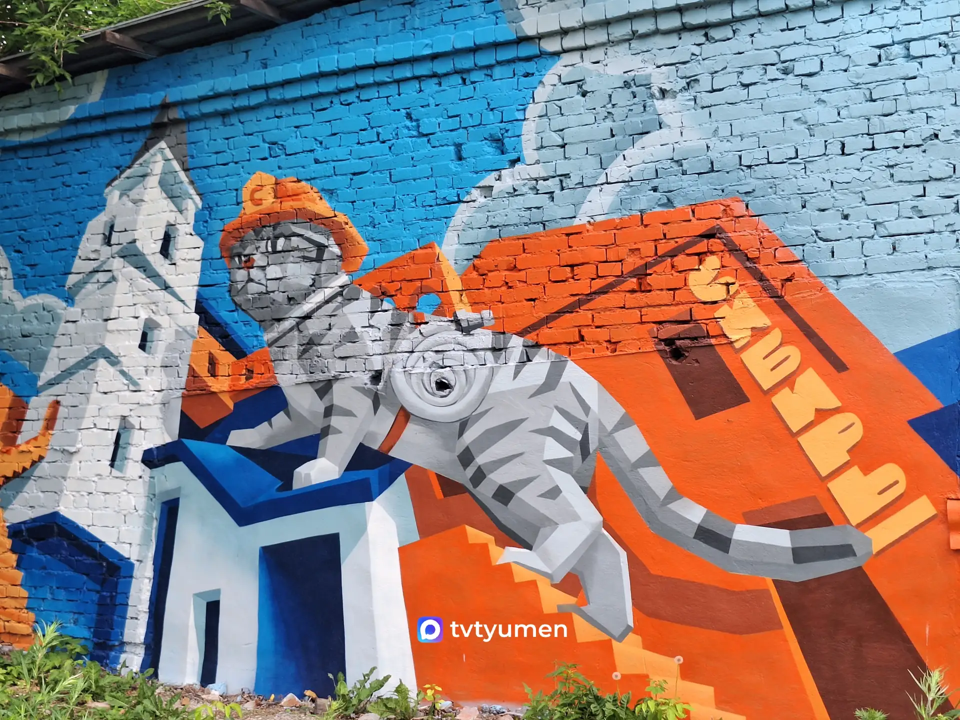 🐈‍⬛ Комикс про кота Семёна создадут в Тюмени

Над ним уже работают в центре стратегического развити