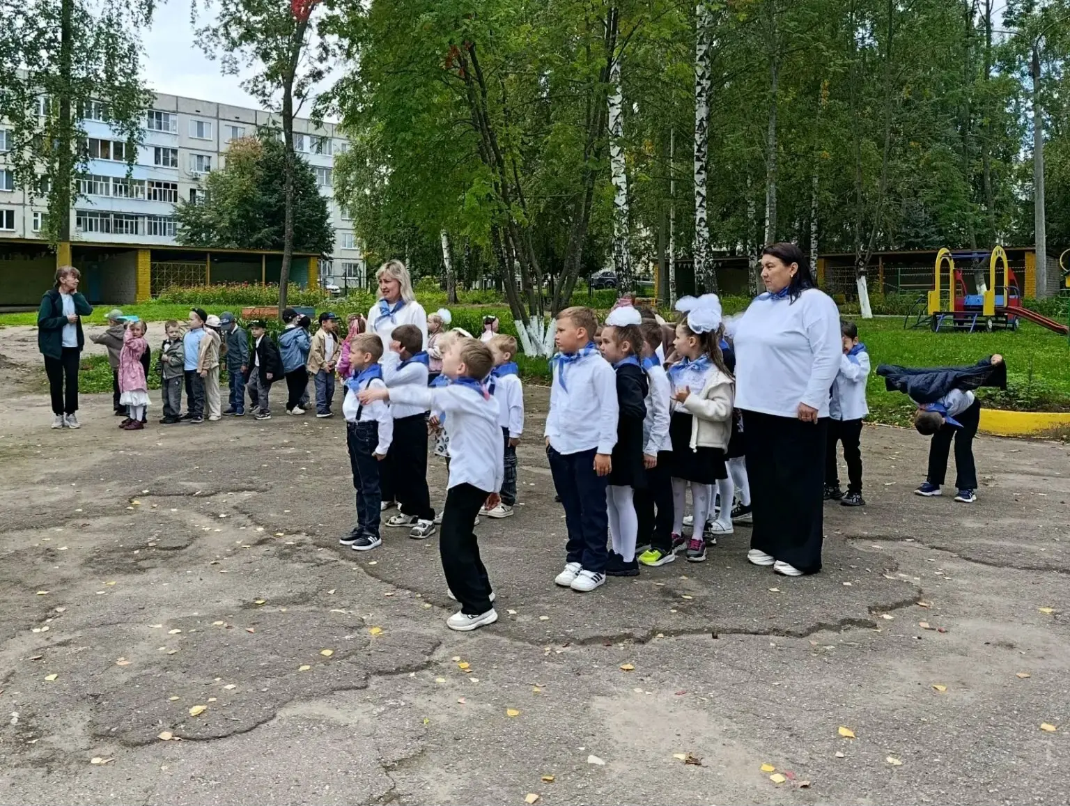 День знаний📚