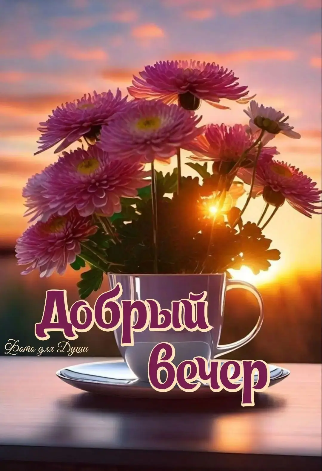 Наши каналы: