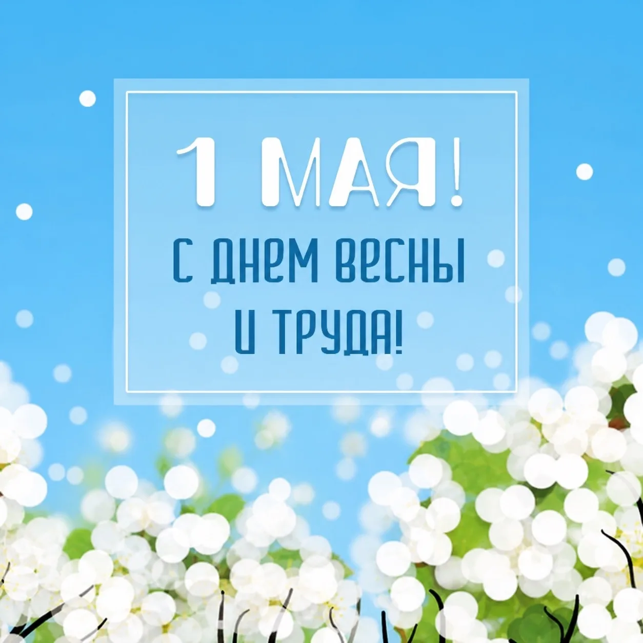 Дорогие друзья!