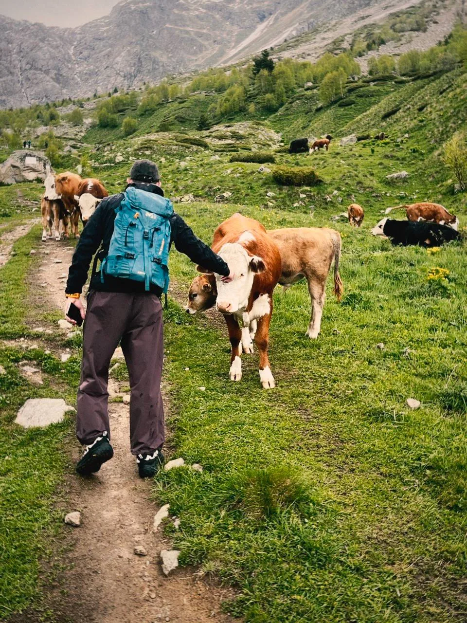 🏔️Новости с тропы