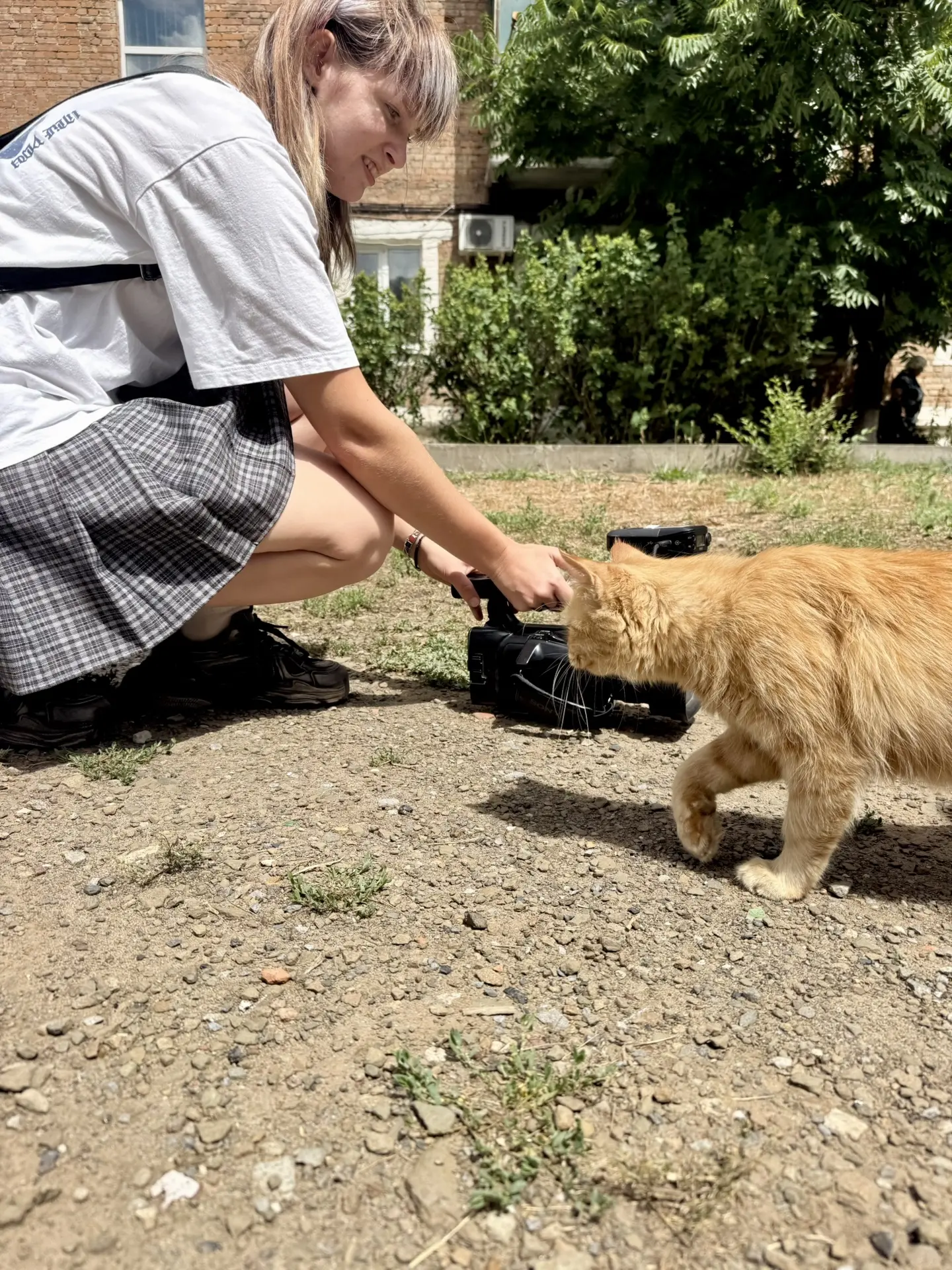 А что это вы тут снимаете? 😹