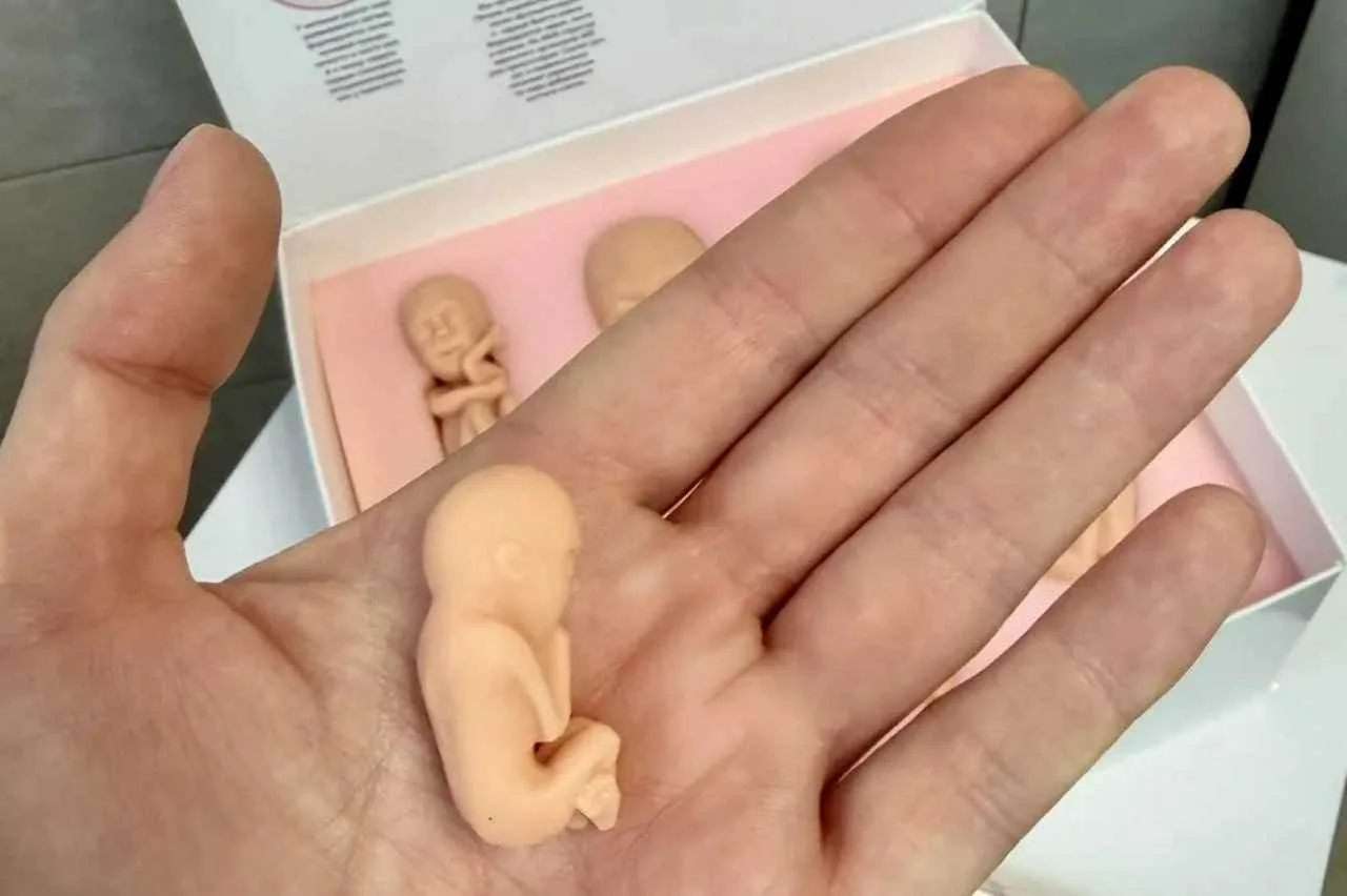 За каждой цифрой — живая история ❤️