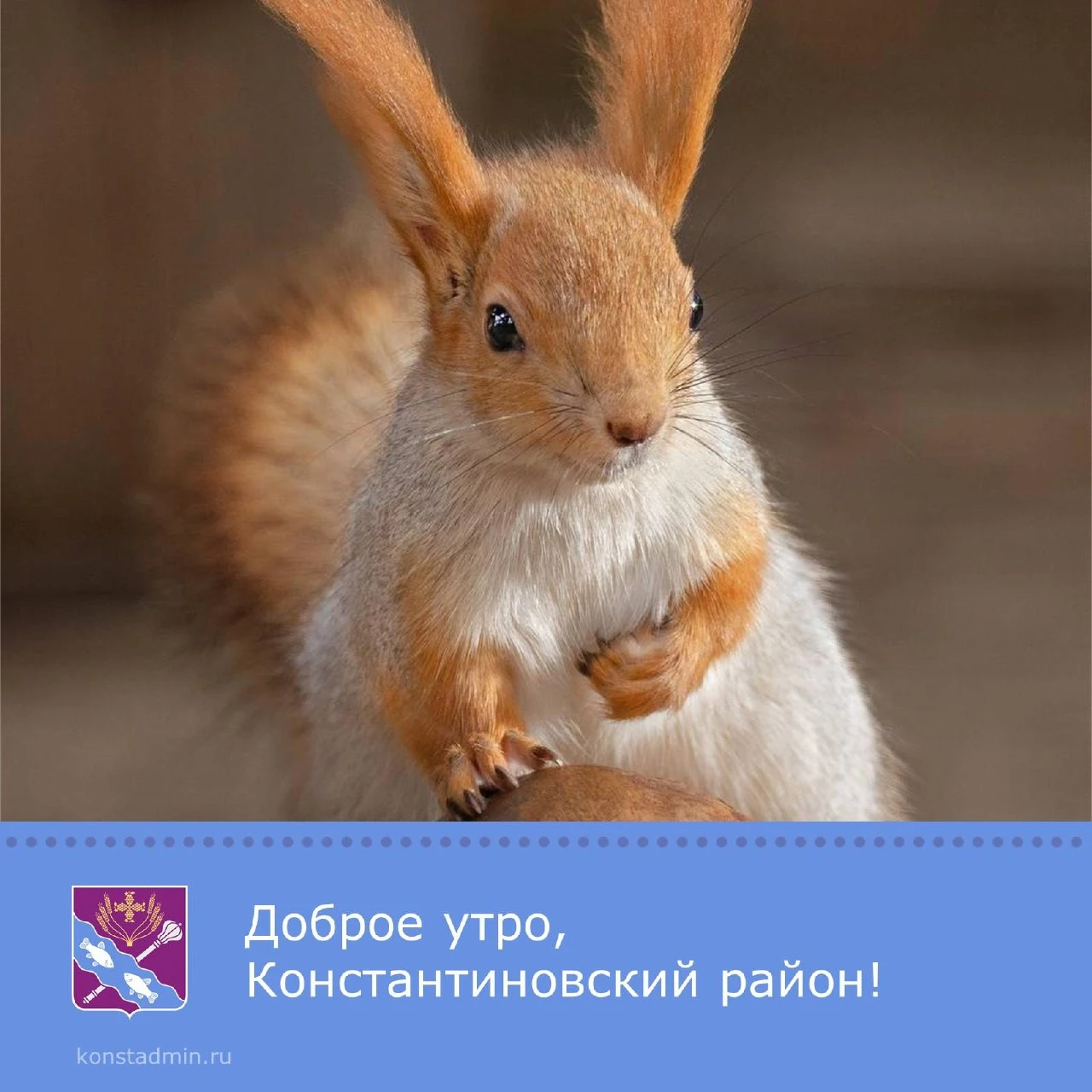 Доброе утро, уважаемые жители Константиновского района!