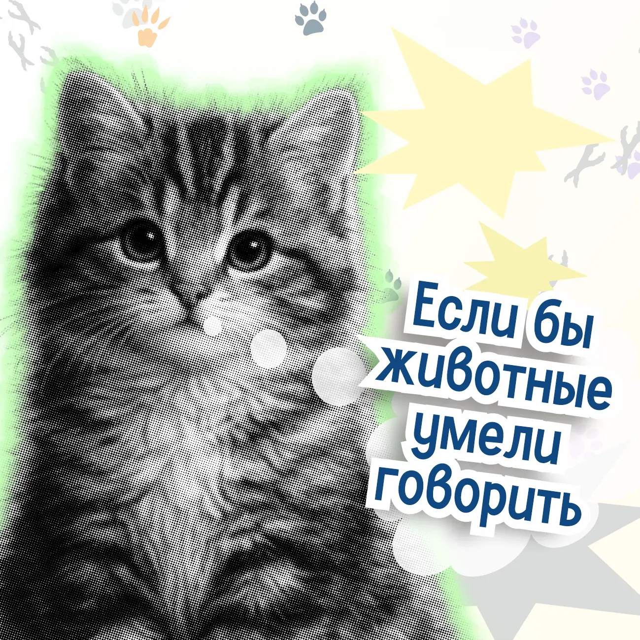 ❓У вас есть домашние животные?