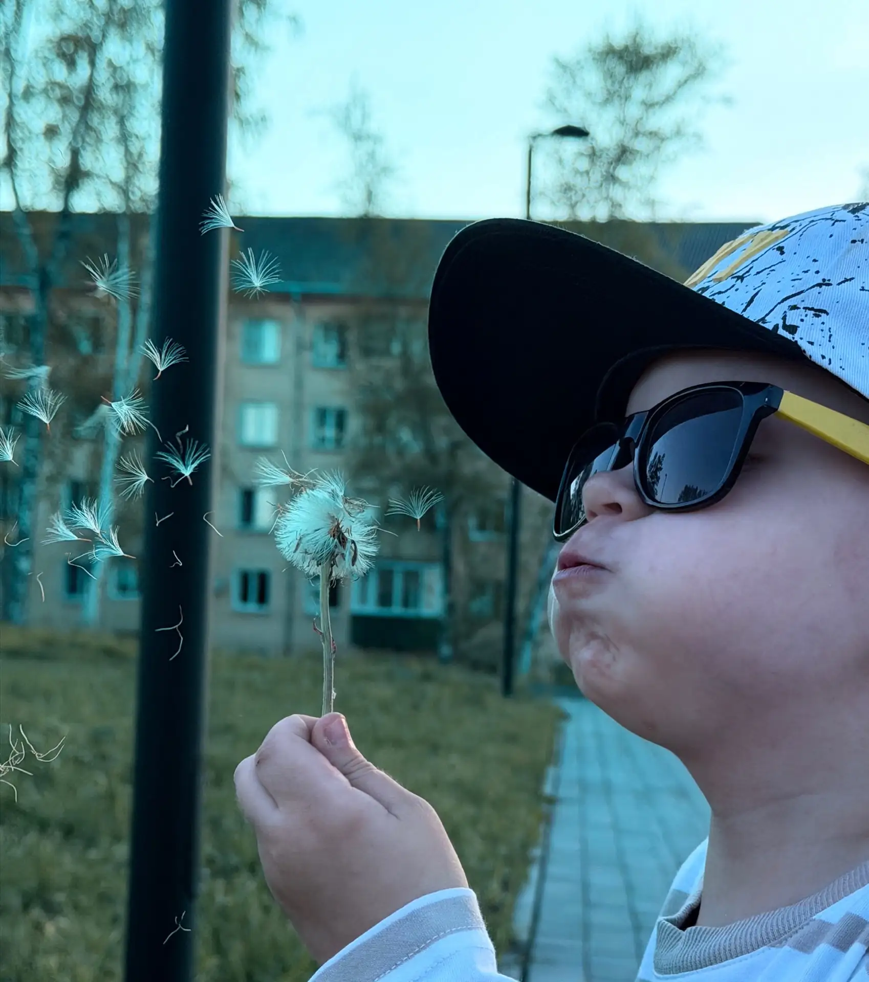 Добрый день, дорогие подписчики! 🫶