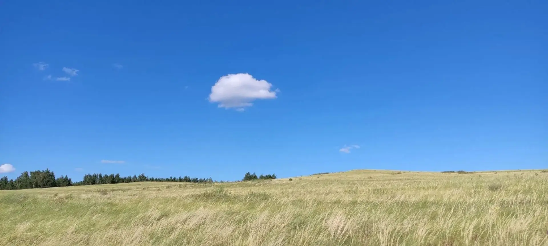 ☀️☀️☀️☀️Сентябрьское солнце прогреет Оренбуржье до +29 градусов