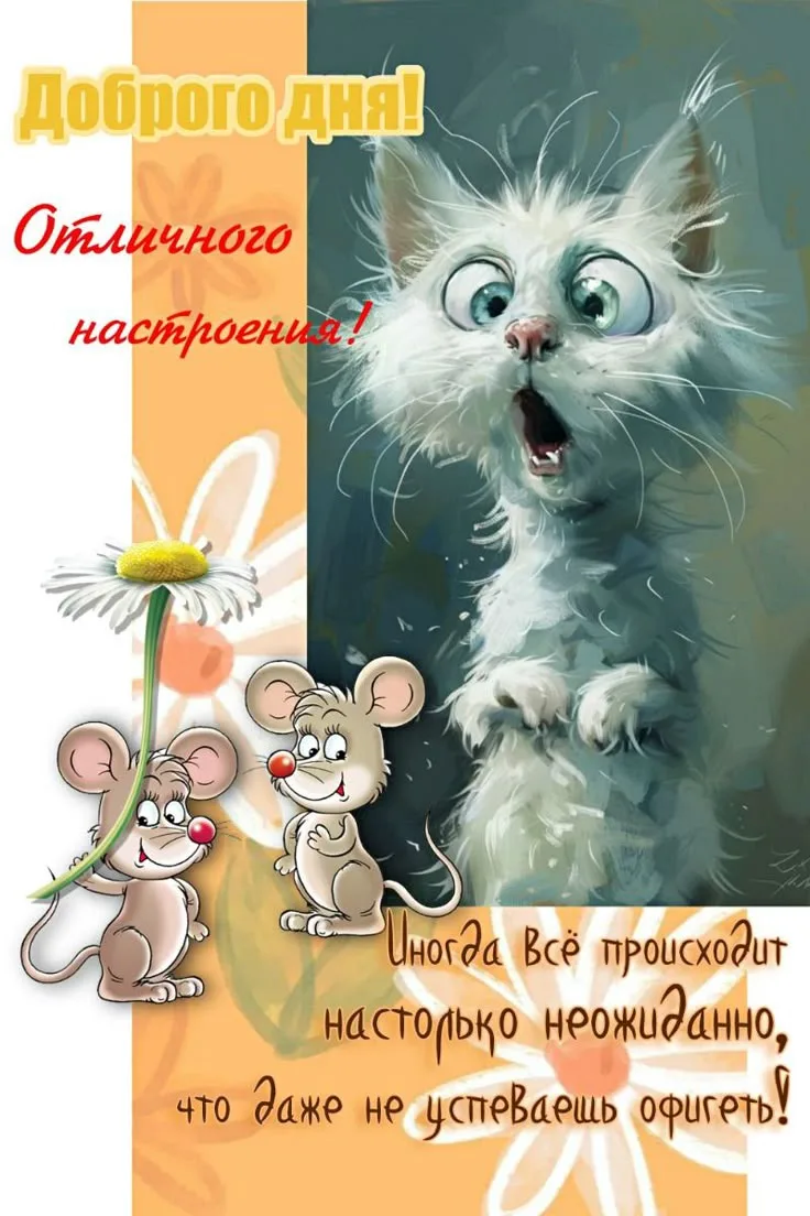 ОТКРЫТКИ С ЛЮБОВЬЮ ❤️