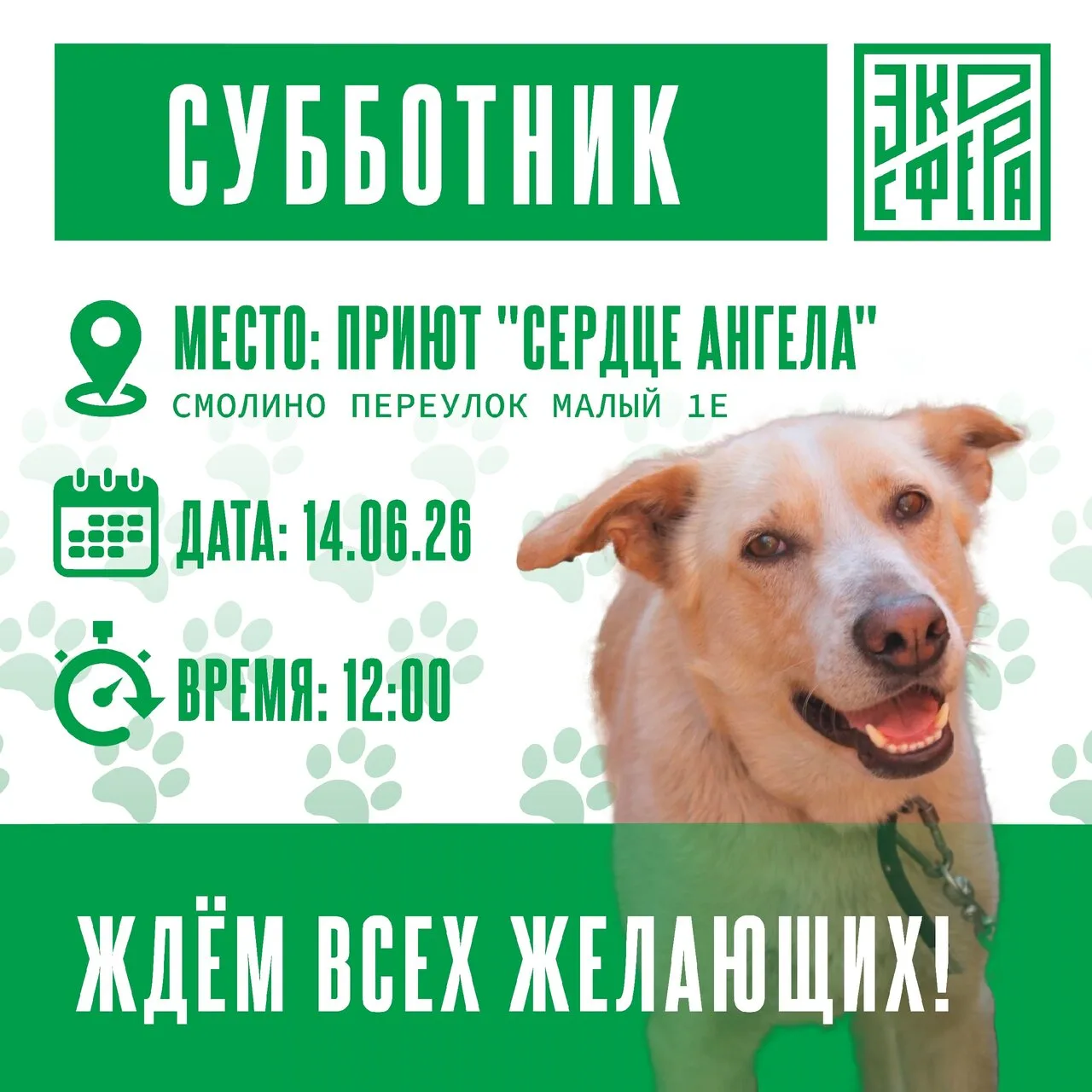 Приют "Сердце ангела" очень ждёт добрые сердца на зоосубботник!

Давайте вместе сделаем жизнь хвости