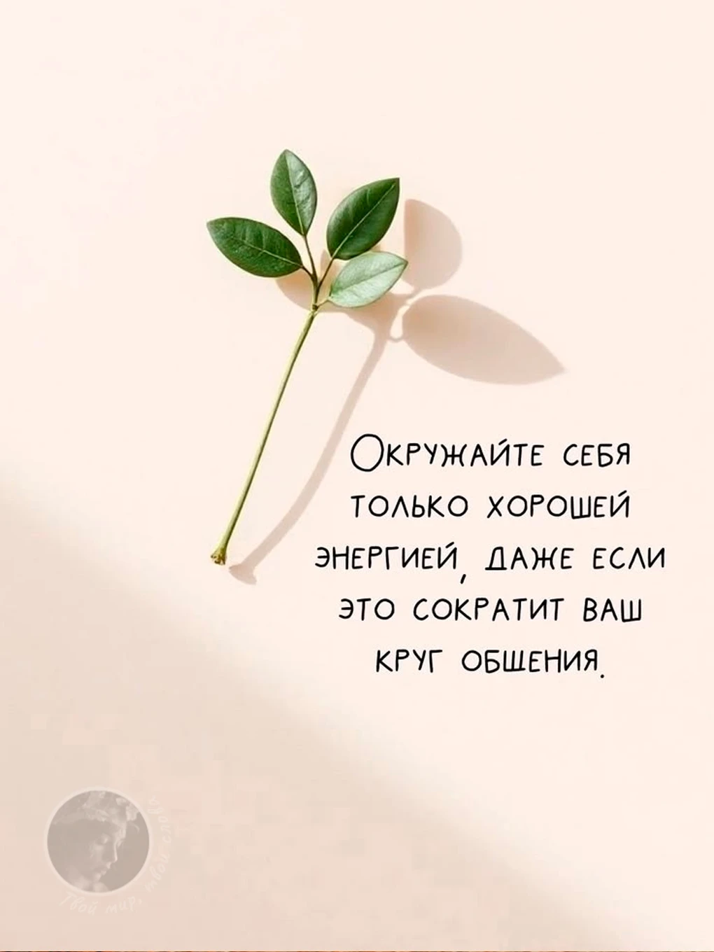 Твой мир, твои слова